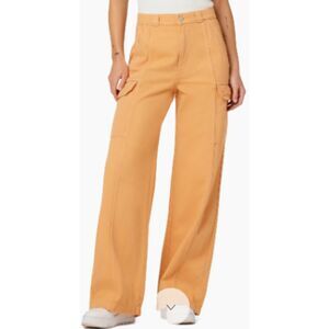 Hudson High-Rise Wide Leg Cargo Pants Clay Orange Size 27